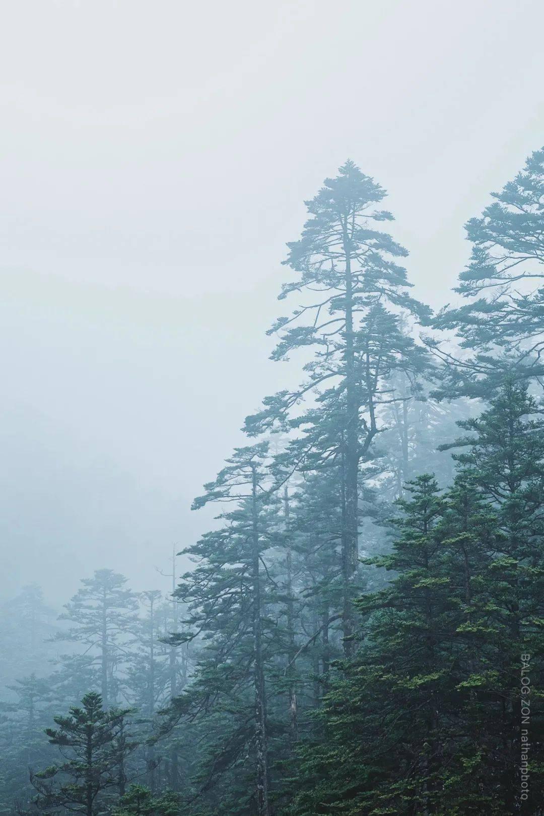 最后一站
